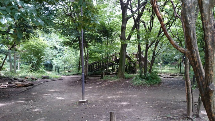 公園　駒場野公園（公園）まで313m