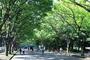 公園　都立駒沢公園西口（公園）まで712m