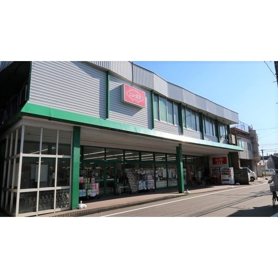 スーパー　ニュー三久城南店（スーパー）まで790m
