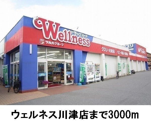 ドラックストア　ウェルネス川津（ドラッグストア）まで3000m