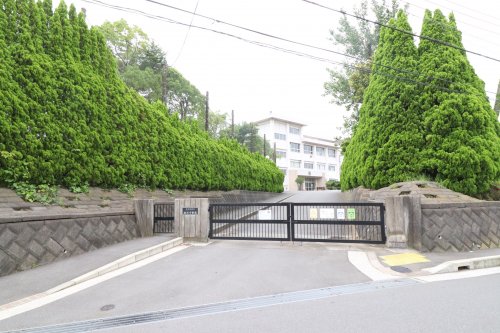 中学校　衣笠中学校（中学校）まで437m