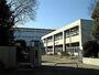 中学校　調布第五中学校（中学校）まで1518m