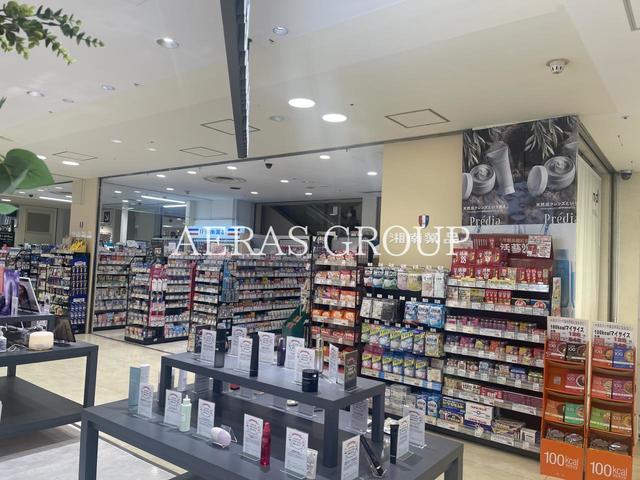 ドラックストア　湘南薬品ラピスドラッグ（ドラッグストア）まで253m