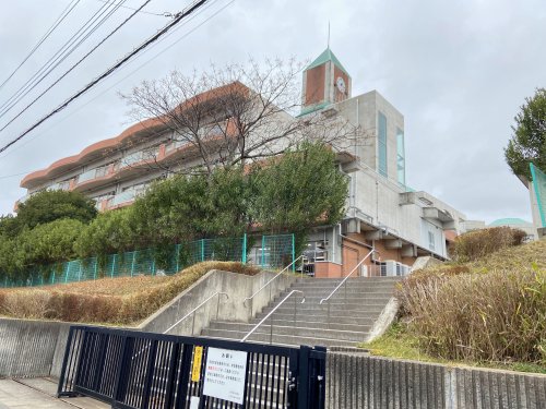 中学校　柏市立柏中学校（中学校）まで586m