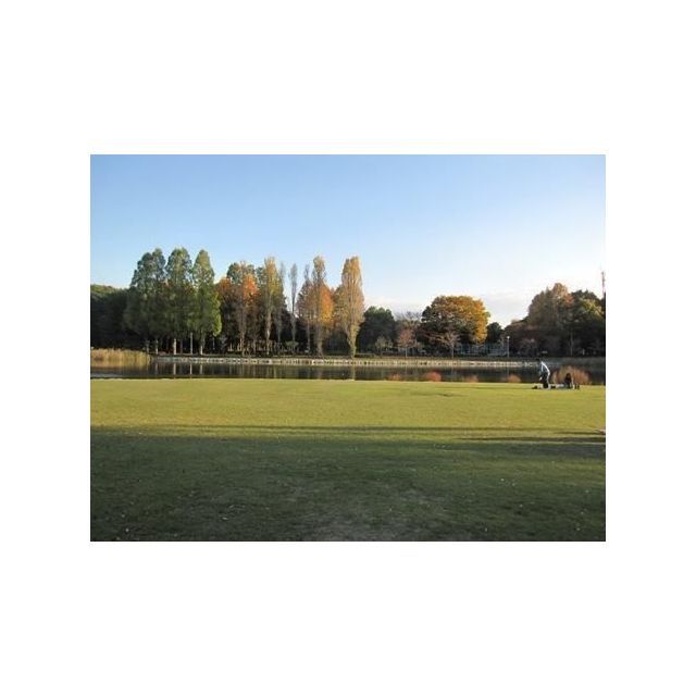 その他　洞峰公園（その他）まで160m