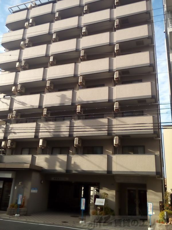 庭