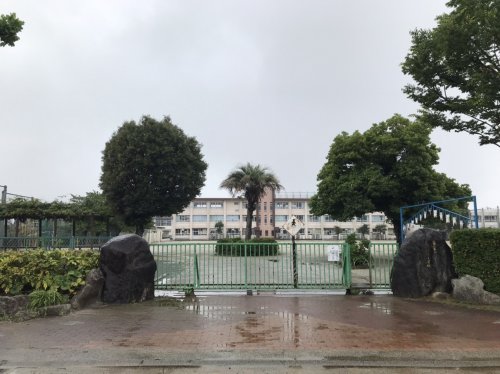 小学校　善導寺小学校（小学校）まで728m