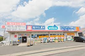 ドラックストア　ウエルシア草加店（ドラッグストア）まで606m