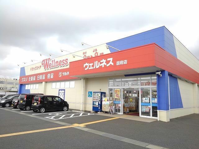 ドラックストア　ドラッグストアウェルネス国府店（ドラッグストア）まで1154m
