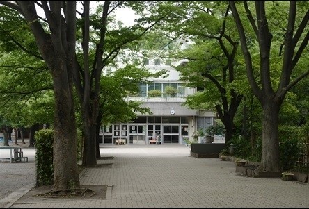 小学校　板橋区立金沢小学校（小学校）まで473m