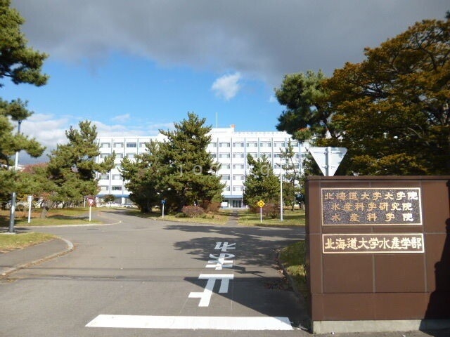 大学・短大　国立北海道大学水産学部（大学・短大）まで238m