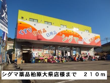 ドラックストア　シグマ薬品柏原大県店様（ドラッグストア）まで210m