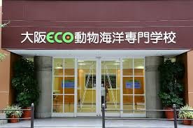 その他　大阪ECO動物海洋専門学校（その他）まで200m
