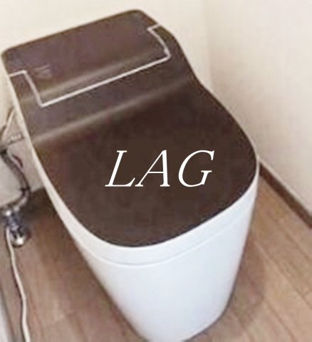 トイレ　トイレです。（同仕様です。）