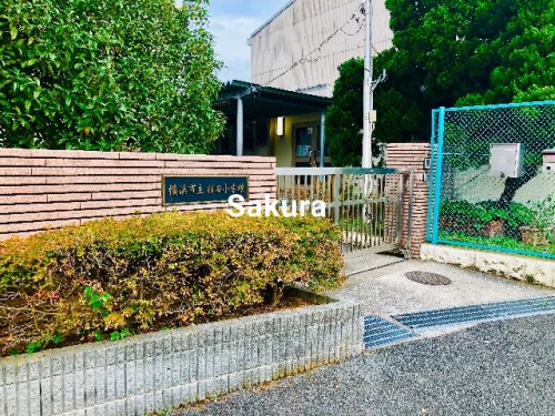 小学校　横浜市立杉田小学校（小学校）まで1023m