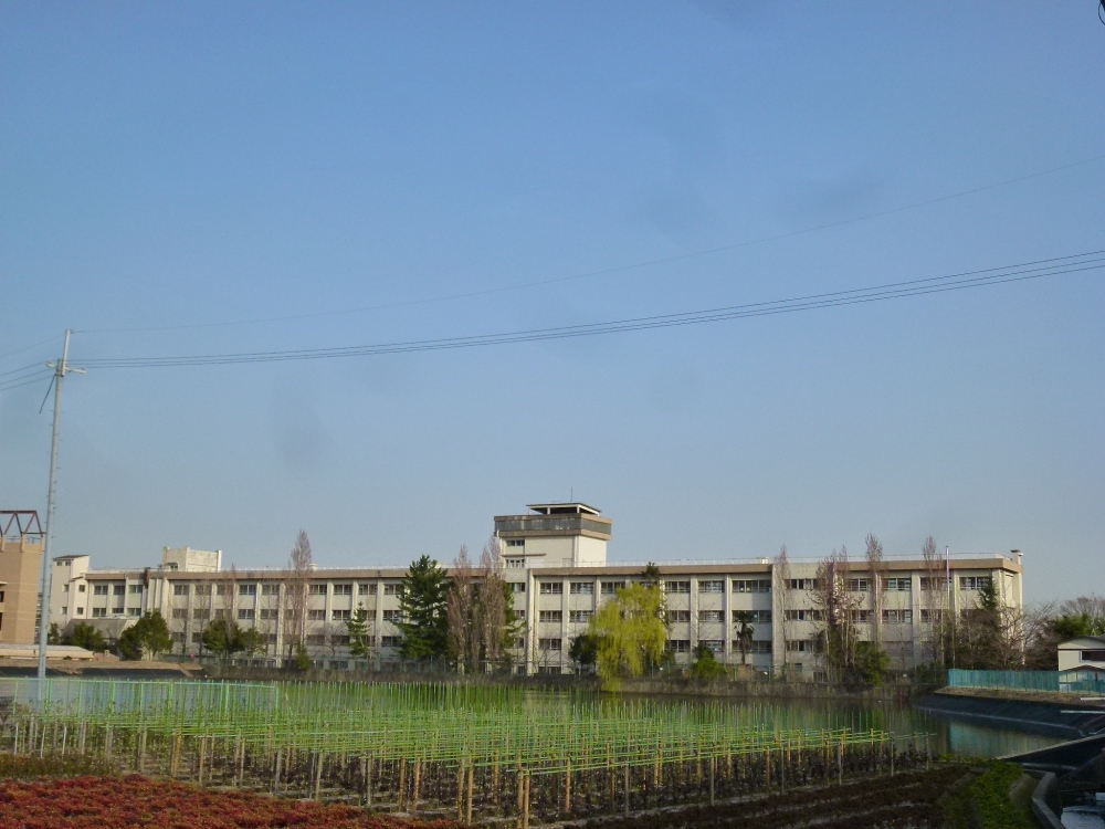 小学校　宝塚市立　長尾南小学校（小学校）まで688m