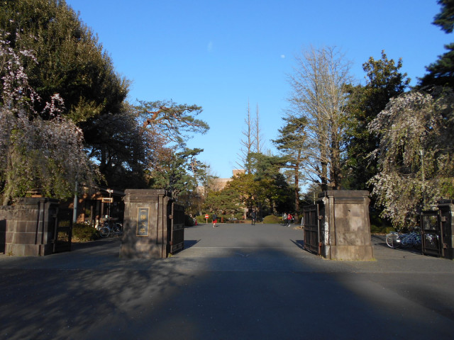 大学・短大　一橋大学国立キャンパス（大学・短大）まで900m