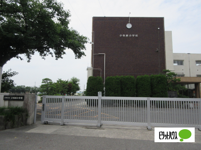小学校　小牧市立小牧原小学校（小学校）まで1132m