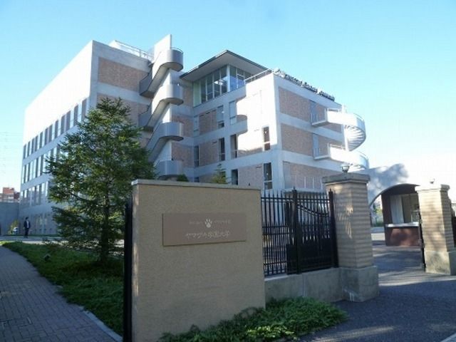 その他　ヤマザキ学園大学（その他）まで1600m