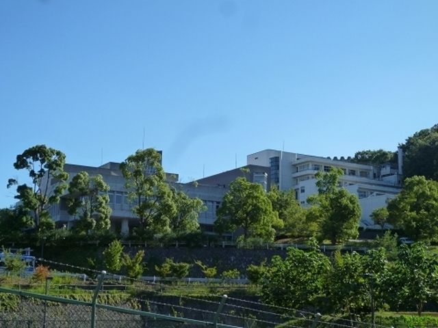 その他　多摩美術大学（その他）まで2200m