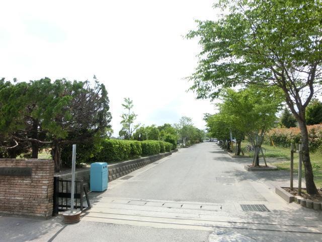 小学校　宮崎南小学校（小学校）まで290m