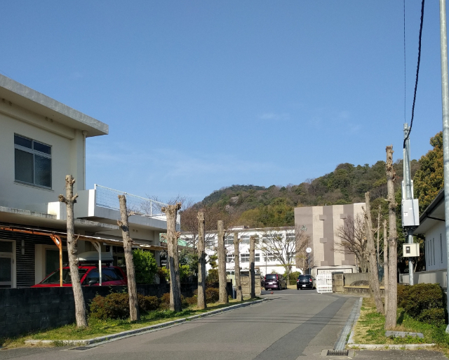 中学校　四国中央市立川之江北中学校（中学校）まで1595m