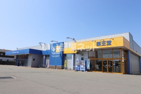 ドラックストア　薬王堂 秋田土崎店（ドラッグストア）まで2313m