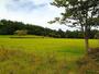 公園　県立小泉潟公園（公園）まで1272m