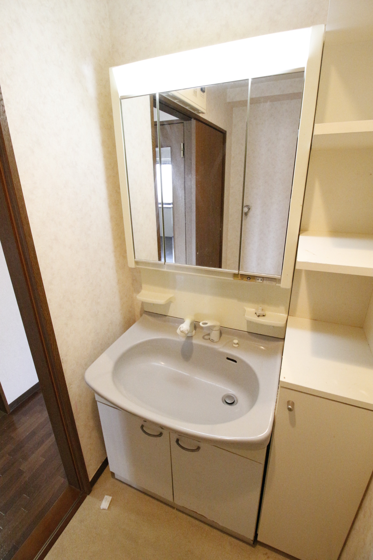 洗面設備　別の部屋の写真です