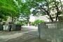 幼稚園・保育園　聖徳大学付属幼稚園（幼稚園・保育園）まで1600m