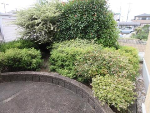庭　中庭