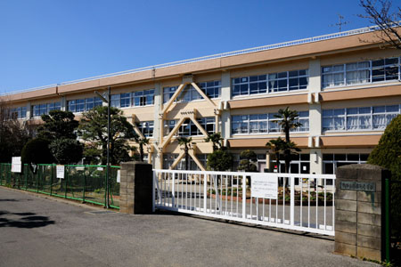 小学校　柏市立第七小学校（小学校）まで354m