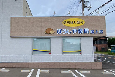 パインフォレスト浜の宮IIの周辺写真