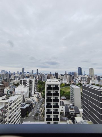 阪神電鉄阪神なんば線 九条駅 徒歩5分 15階建 築1年のその他写真