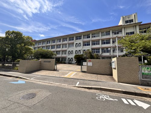 高校・高専　大阪府立桜塚高等学校（高校・高専）まで554m