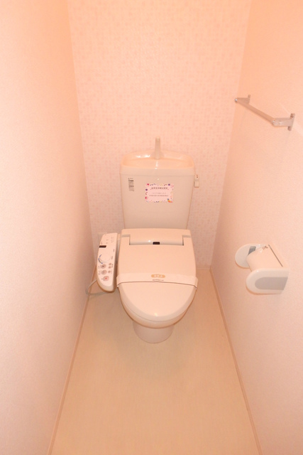 近鉄長野線 汐ノ宮駅 徒歩9分 2階建 築17年のトイレ写真