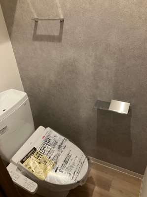 ADVANCE豊津のトイレ写真