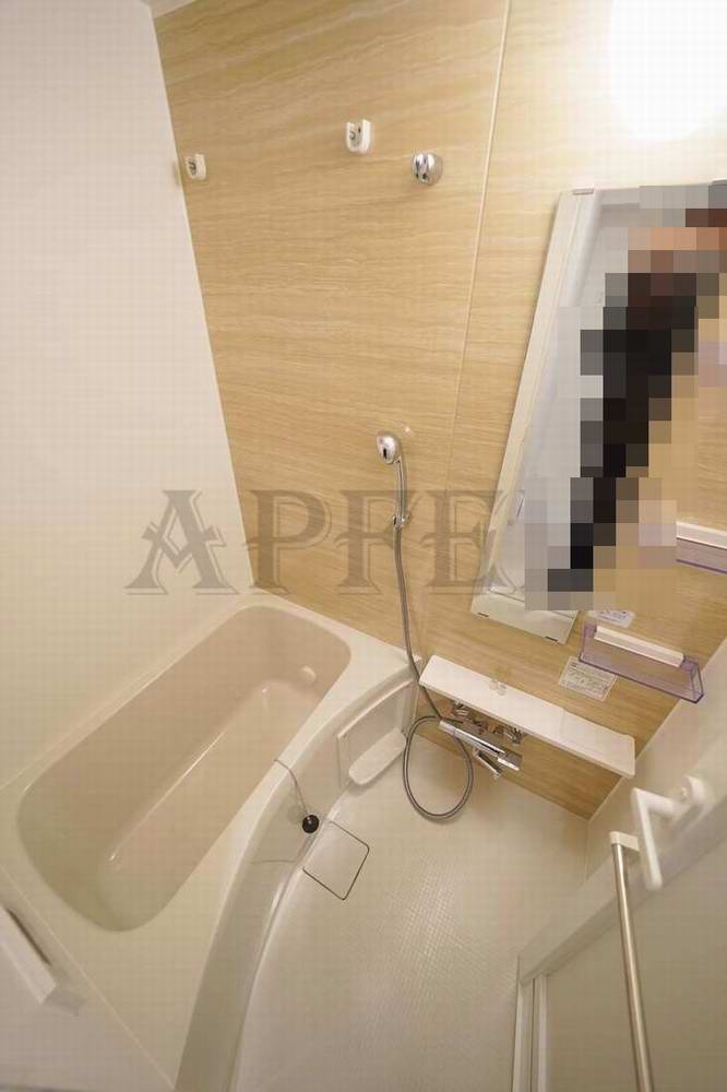 REXIA Shin Umeda DUOの風呂写真