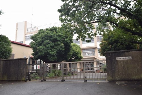 小学校　市川市立柏井小学校（小学校）まで1114m