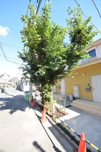 その他共有部分　★桜の木のある家★