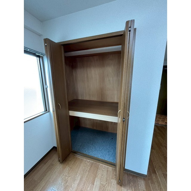 収納　ＬＤＫクローゼット、他部屋の写真