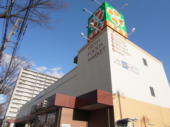 スーパー　ライフ（スーパー）まで250m