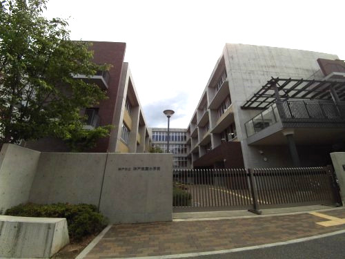 小学校　神戸市立神戸祇園小学校（小学校）まで856m