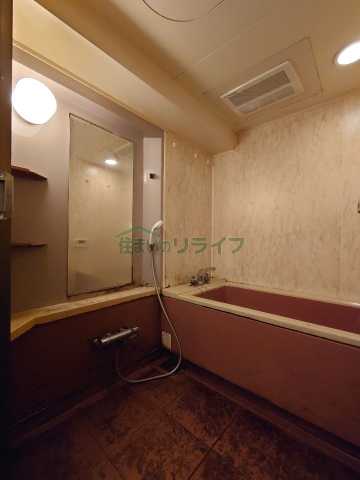 バス・シャワールーム　別部屋参考写真