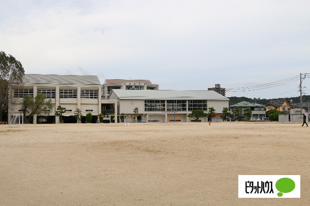 小学校　松江市立乃木小学校（小学校）まで677m