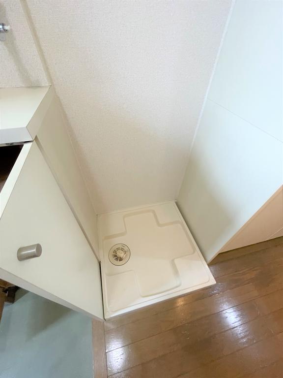 その他　室内洗濯機置き場（別の部屋の写真です）