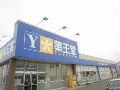 ドラックストア　薬王堂花巻不動店（ドラッグストア）まで1208m
