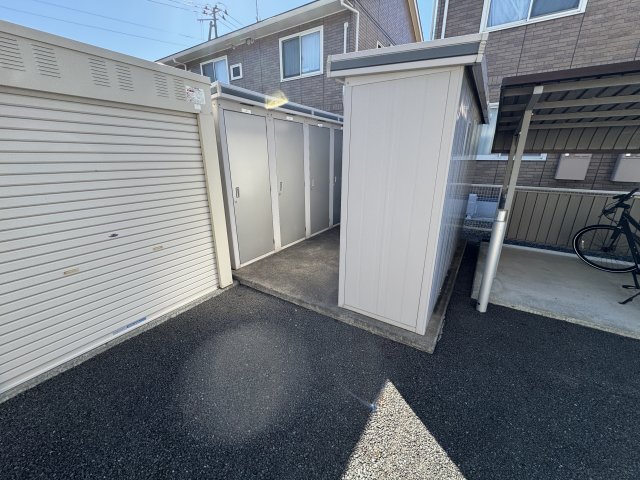 カレンデュラ_その他_4