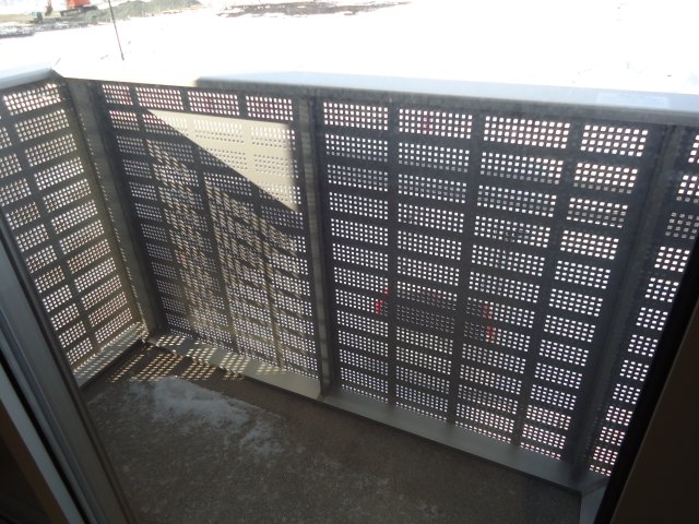 カレンデュラ_その他_2