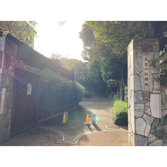 公園　大宮の杜緑地（公園）まで120m